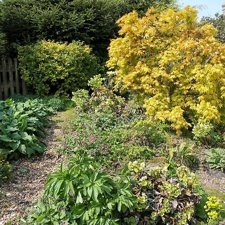 Bell Hill Dom wakacyjny *