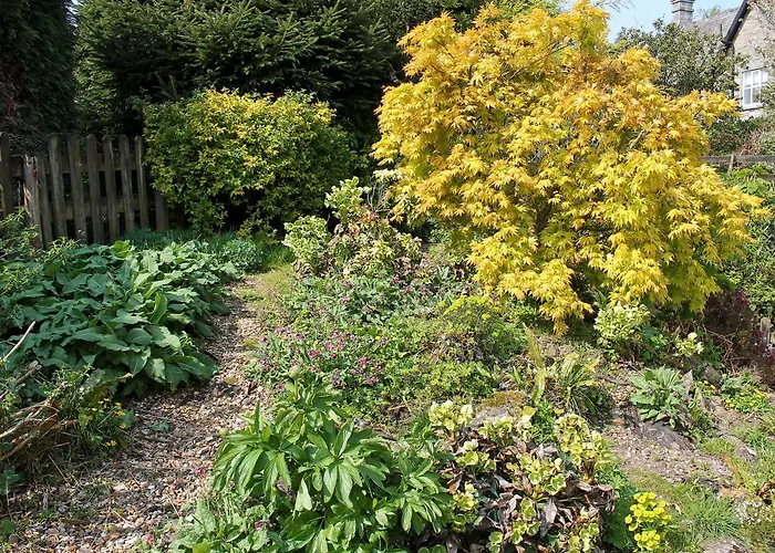 Bell Hill Feriehus *